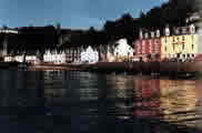 Tobermory trip with Ardnamurchan Charters