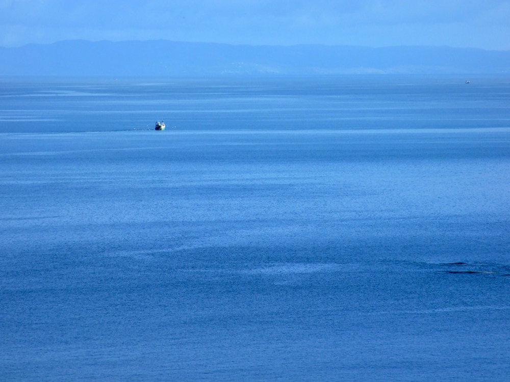 Fishing boat in sea - view from Air an Oir self catering Ardnamurchan